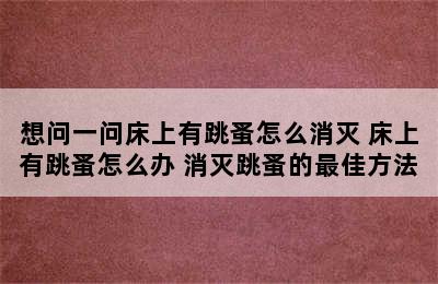 想问一问床上有跳蚤怎么消灭 床上有跳蚤怎么办 消灭跳蚤的最佳方法